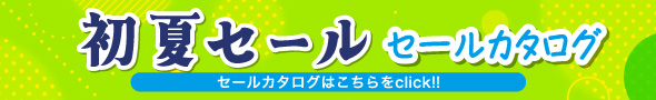 �t�Z�[���`���V