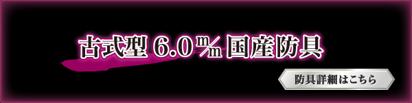 Î^6.0m/mYh͂